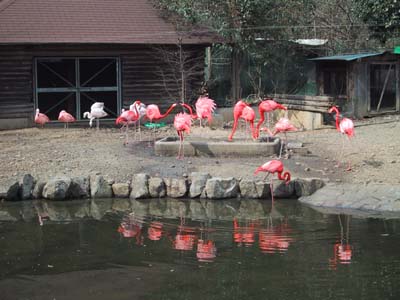 �t���~���S