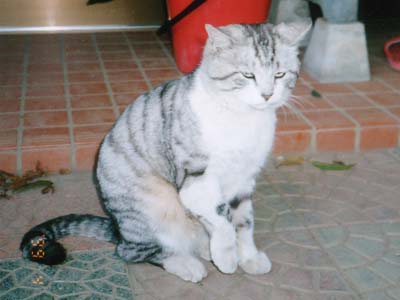 �M�j�N�ł��I