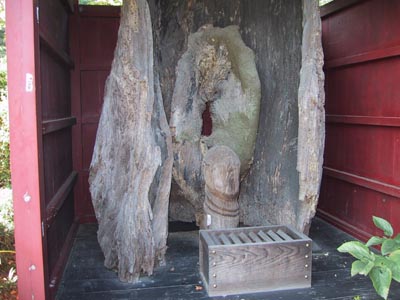 �i�j���F��΁E�E�E