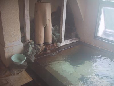 �j���̐^��