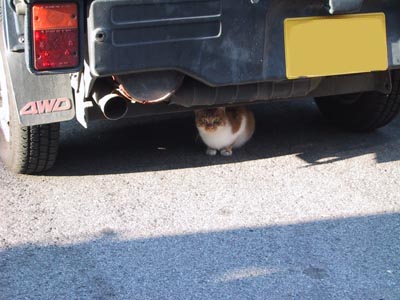 �ɍ��ۂ̔L�i�ԊO�ҁj