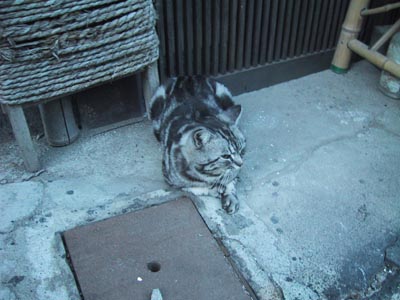 �ɍ��ۂ̔L�i�o��ҁj