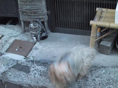 �ɍ��ۂ̔L�i�����ҁj