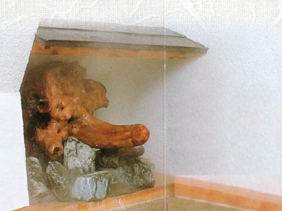 �����̐^��