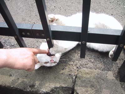 �w���H���H