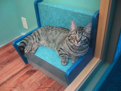 �}���`�J��