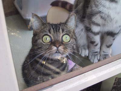 ����������́H