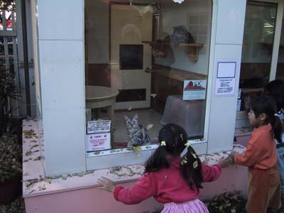 �q�����D��