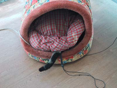 �K�������`