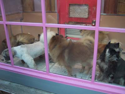 ���ʂ��܂ɂ�