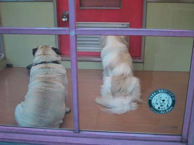 ���C�����������E�E�E