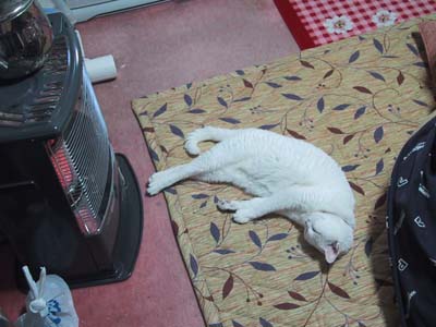 �X�g�[�u�L�P