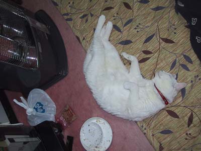 �X�g�[�u�L�R