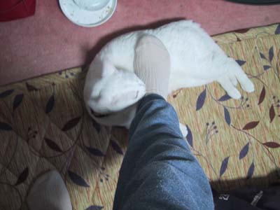 ���܂�Ă݂�