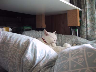 �N���������