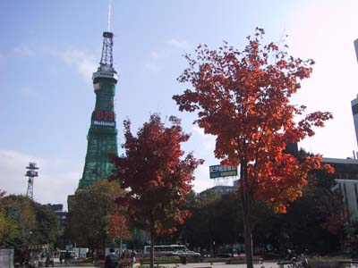 �e���r���H