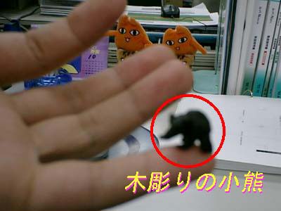 �ؒ���̌F�I