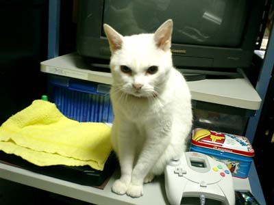 �i�i�F�u�������āI�v