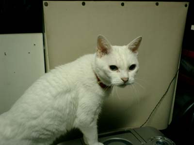 �ǂ�ǂ�o��܁[��