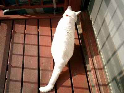 ���D������������w��