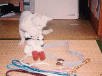 �U�����`�b�`�H