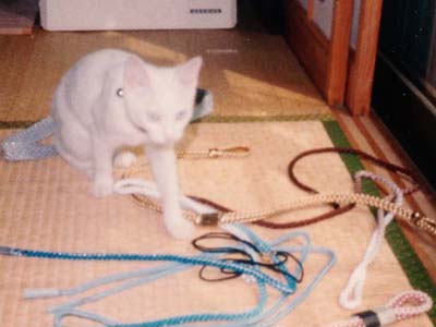 �w(^�E�E^=)�`�@�W�[�[