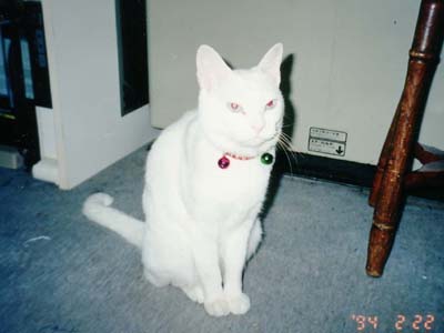 �P�X�X�S�N�H