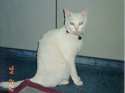 ����Ȉ��������ᖳ����I