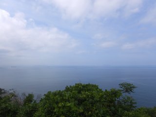 bisyanohana6
