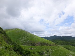 akiyoshidai3