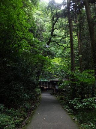 akiyoshidou2