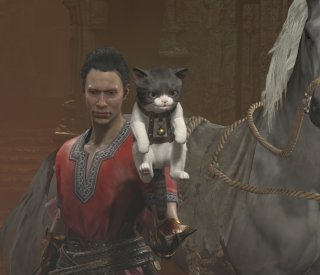 diablo4 cat2