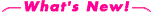 �C���[�W