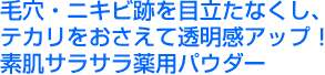 �f���T���T����p�p�E�_�[