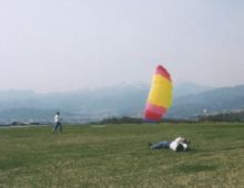 パラプレイその2