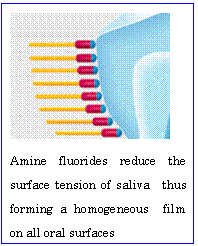�e�L�X�g �{�b�N�X:  Amine fluorides reduce the�@surface tension of saliva�@thus forming a homogeneous�@film on all oral surfaces      