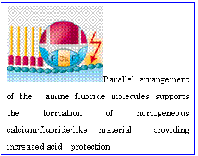 �e�L�X�g �{�b�N�X:  Parallel arrangement of the�@amine fluoride molecules supports�@the formation of homogeneous�@calcium-fluoride-like material�@providing increased acid�@protection 
