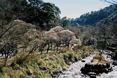 Atami-Baien