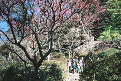 Atami-Baien