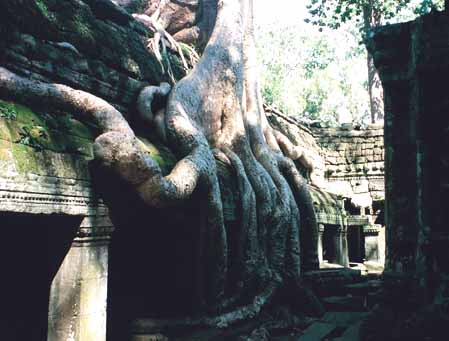 Angkorvat#12