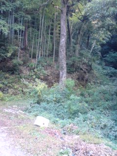 Hakone