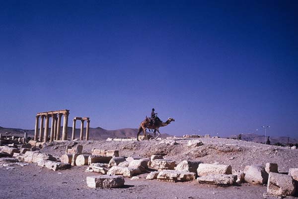 photo In syria#4