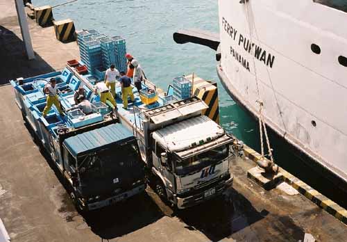 photo In Pusan#6