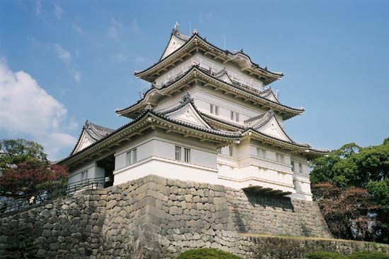 photograph