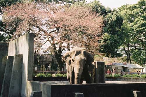 photograph