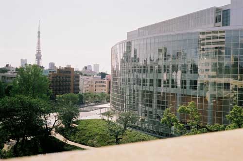 photograph
