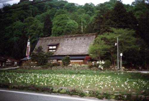 Shirakawago#3