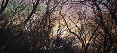 hike 2008