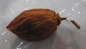 141213.jpg(48029 byte)