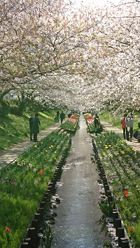 20200405.jpg(149613 byte)